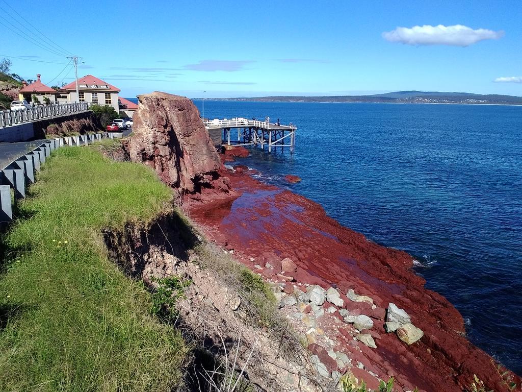 Como Lodge Merimbula Eksteriør billede